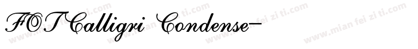 FOTCalligri Condense字体转换